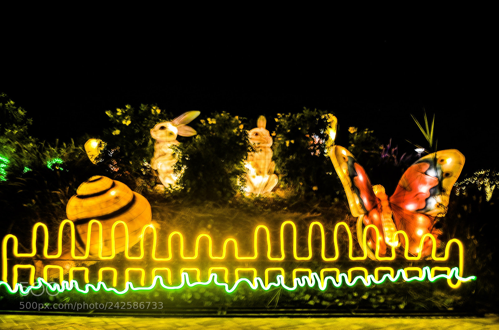 Nikon D5100 sample photo. Al ain zoo photography