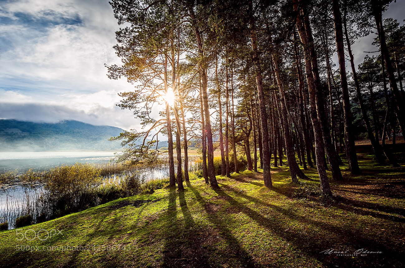 Nikon D810 sample photo. Natuıre in autumn-16 photography
