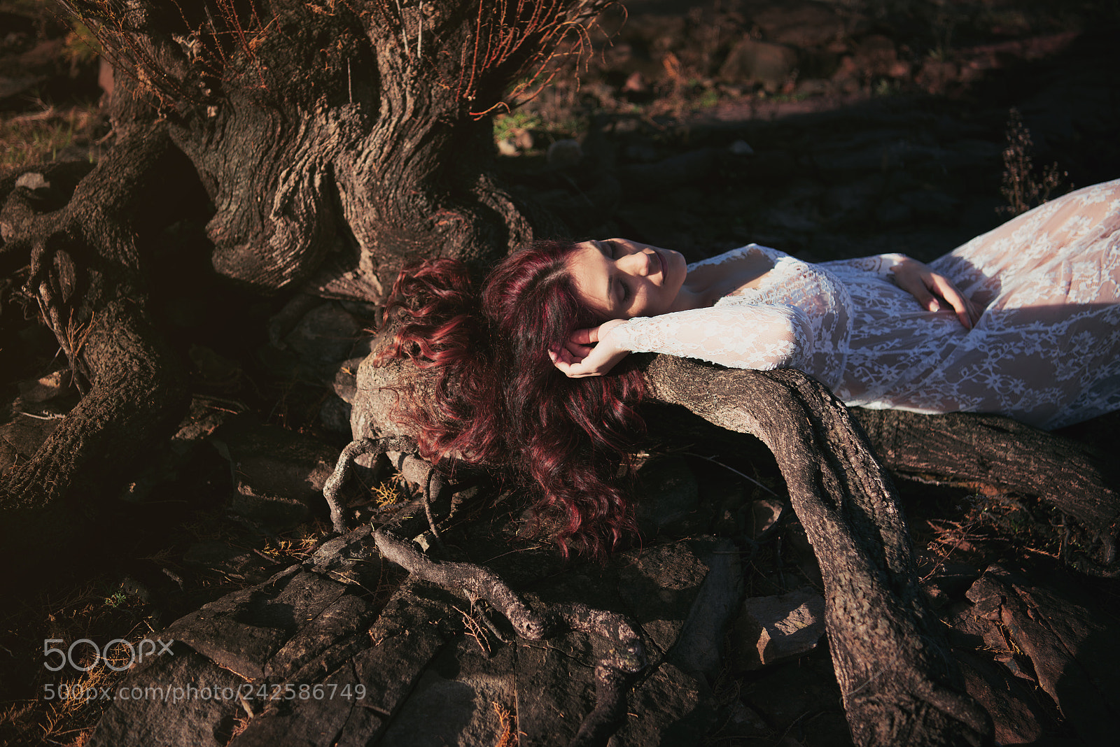 Nikon D800E sample photo. Sleeping in the nature photography