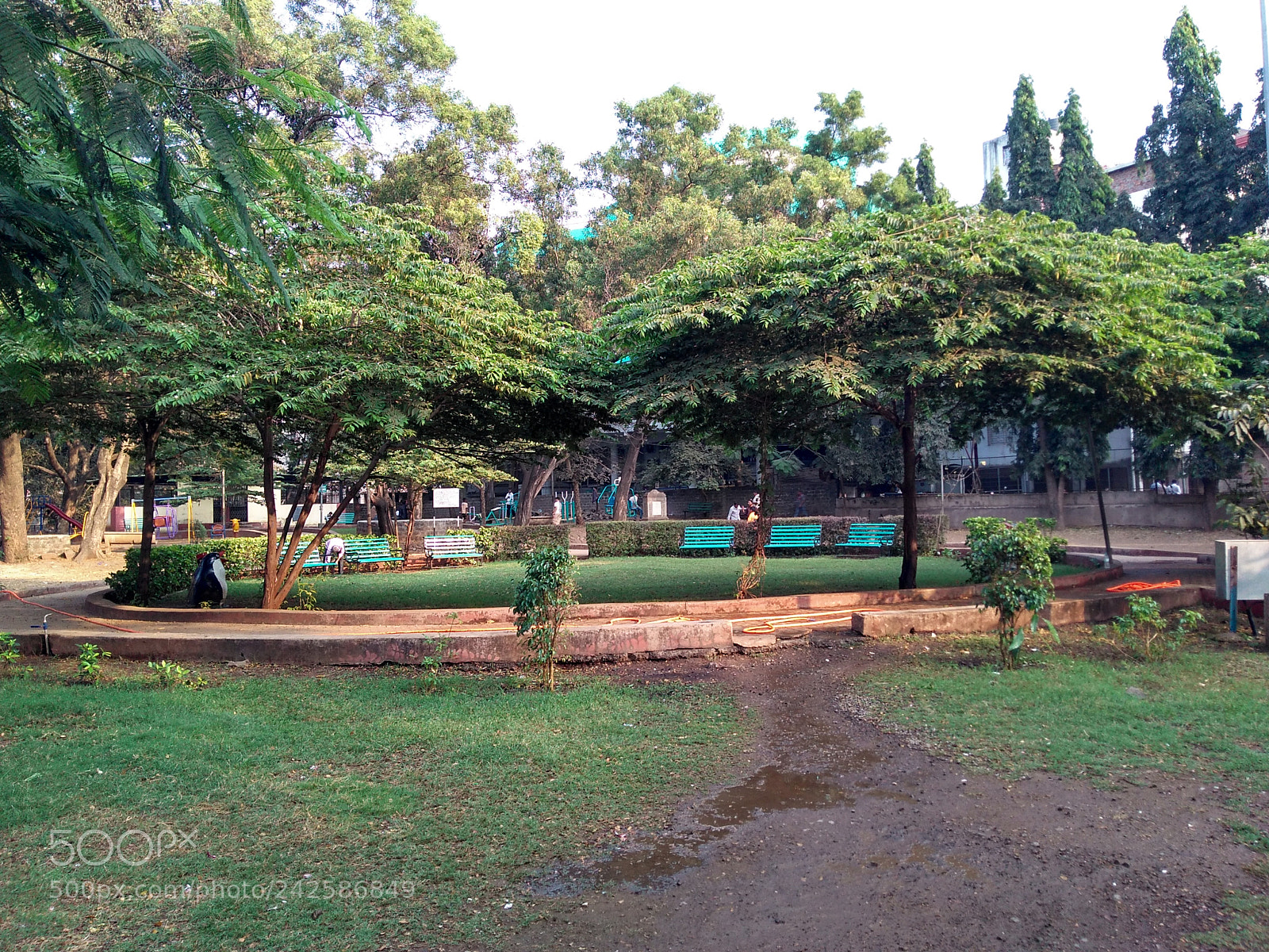 Motorola Moto G Play sample photo. Untitled photography