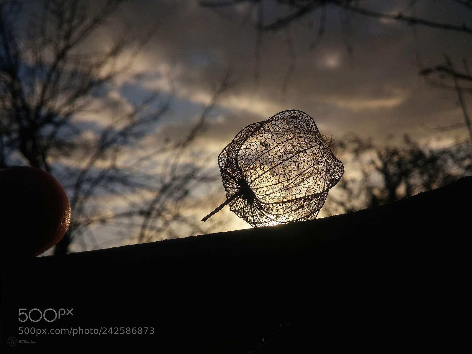LG G2 sample photo. Structure by nature photography