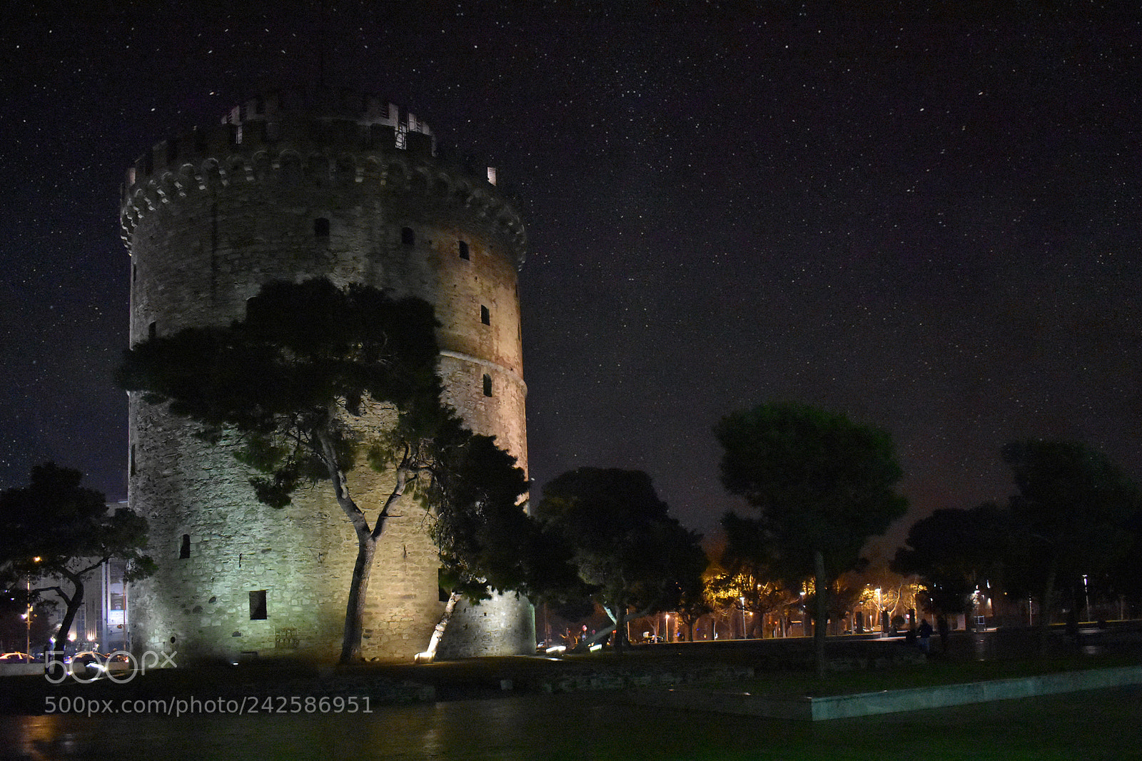 Nikon D3400 sample photo. Under the night sky photography