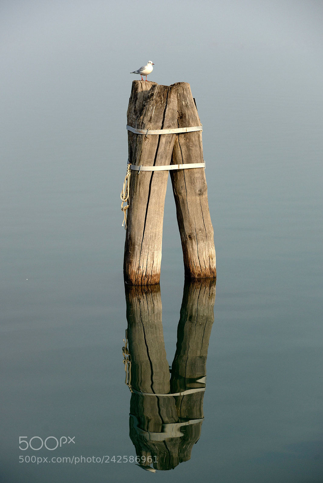 Nikon D610 sample photo. Mirror of burano island photography
