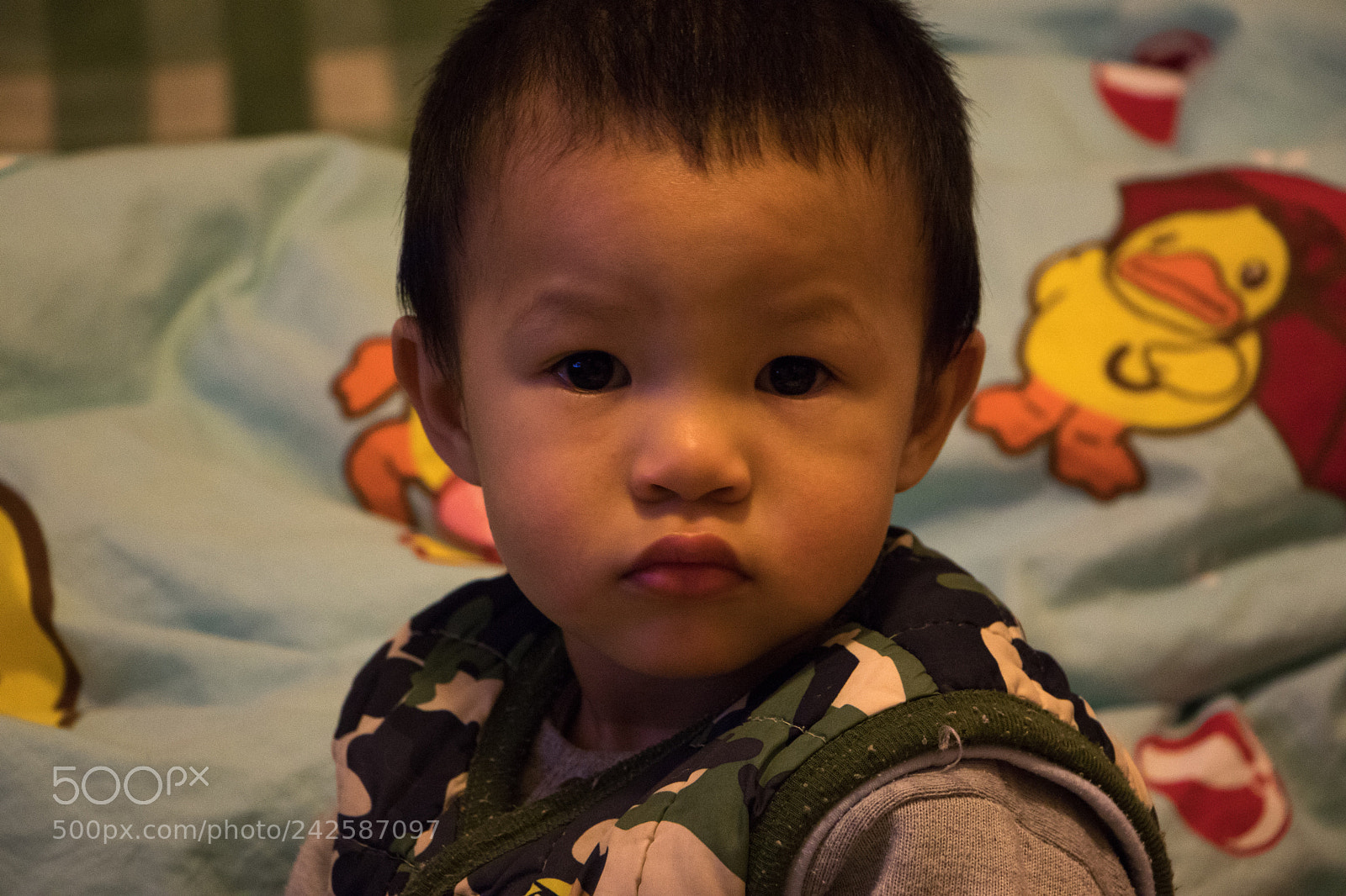 Canon EOS 800D (EOS Rebel T7i / EOS Kiss X9i) sample photo. The look photography