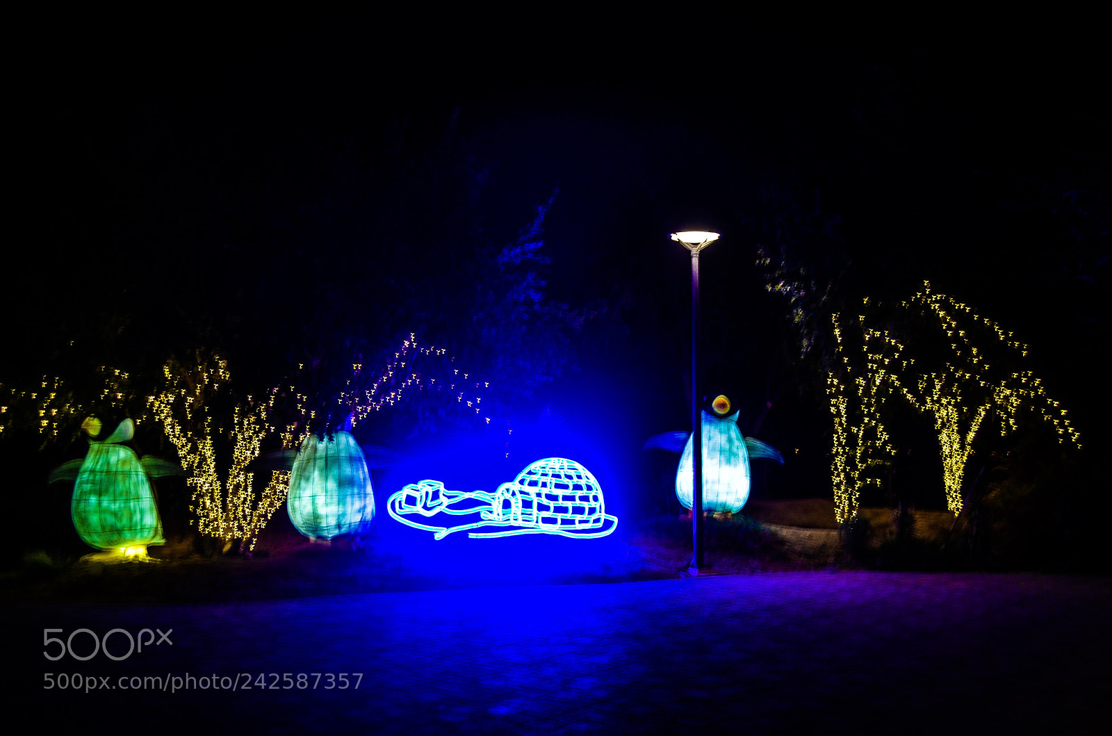 Nikon D5100 sample photo. Al ain zoo photography