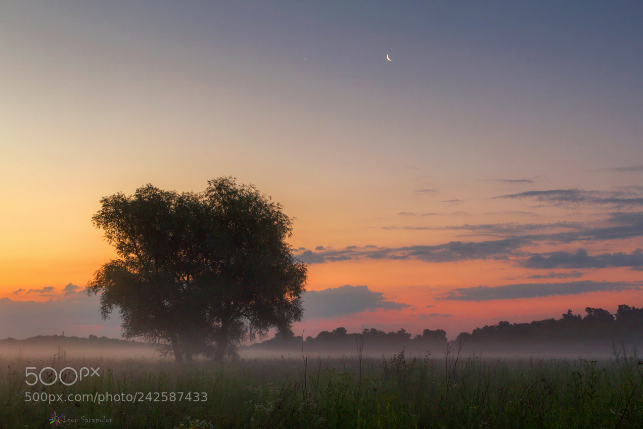 Canon EOS 60D sample photo. Dawn in a field photography