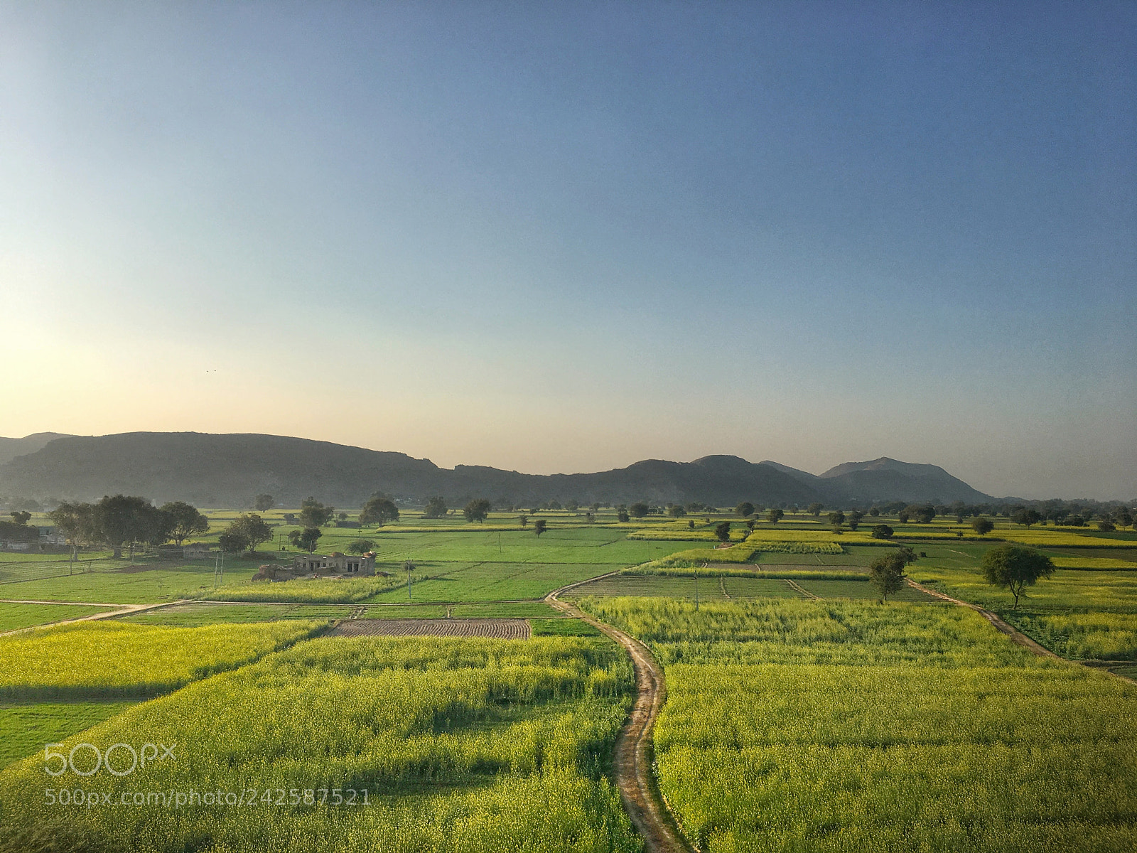 Apple iPhone 6s sample photo. Green coast photography