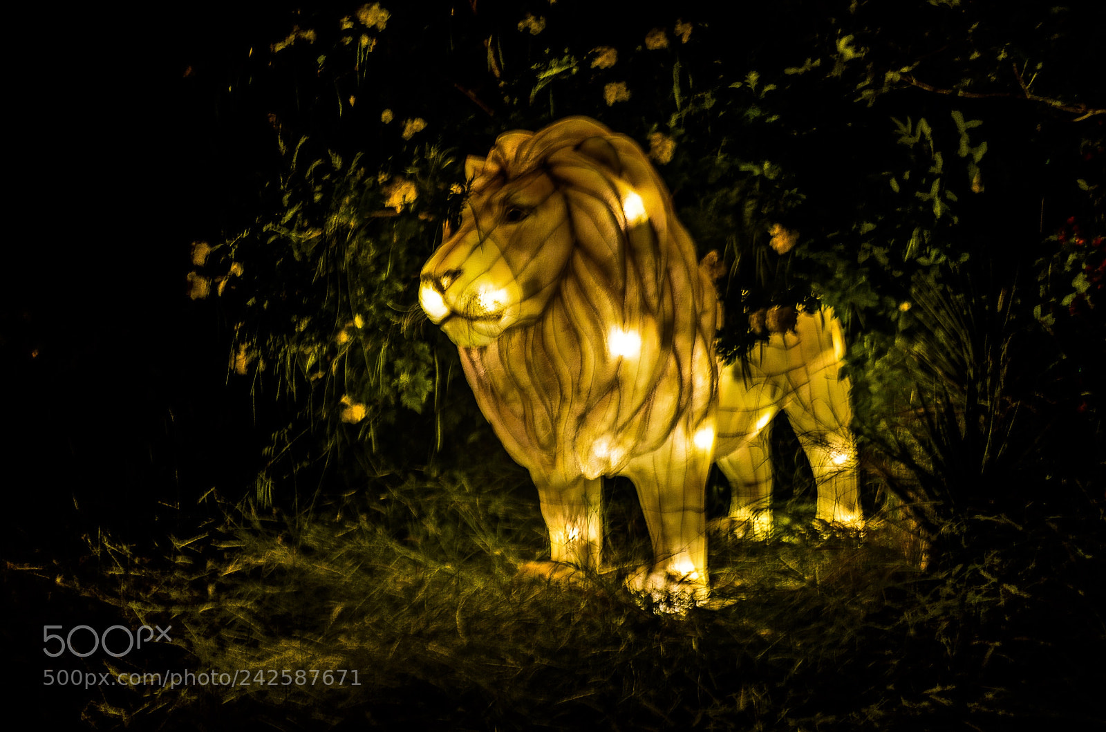 Nikon D5100 sample photo. Al ain zoo photography