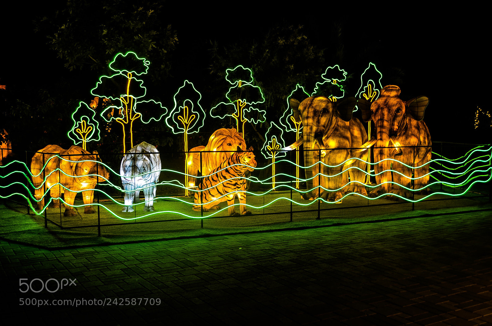 Nikon D5100 sample photo. Al ain zoo photography
