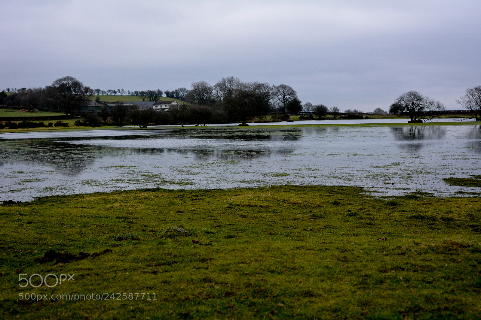 Nikon D7100 sample photo. Brechfa pool photography