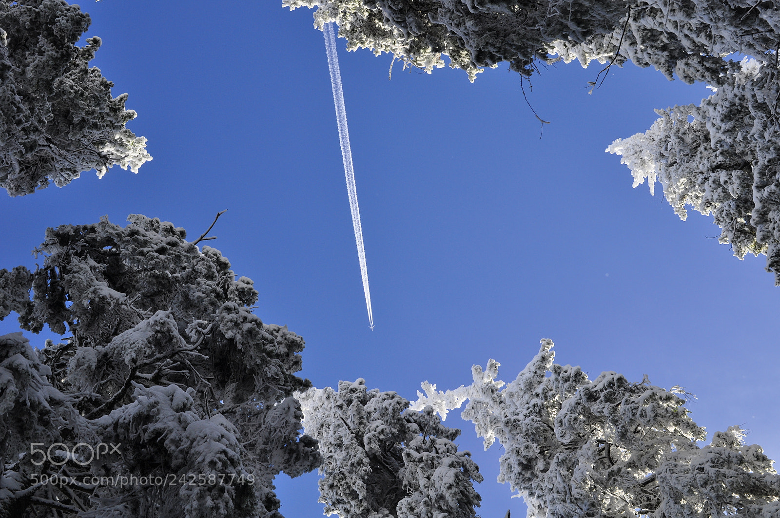 Nikon D5000 sample photo. Line photography
