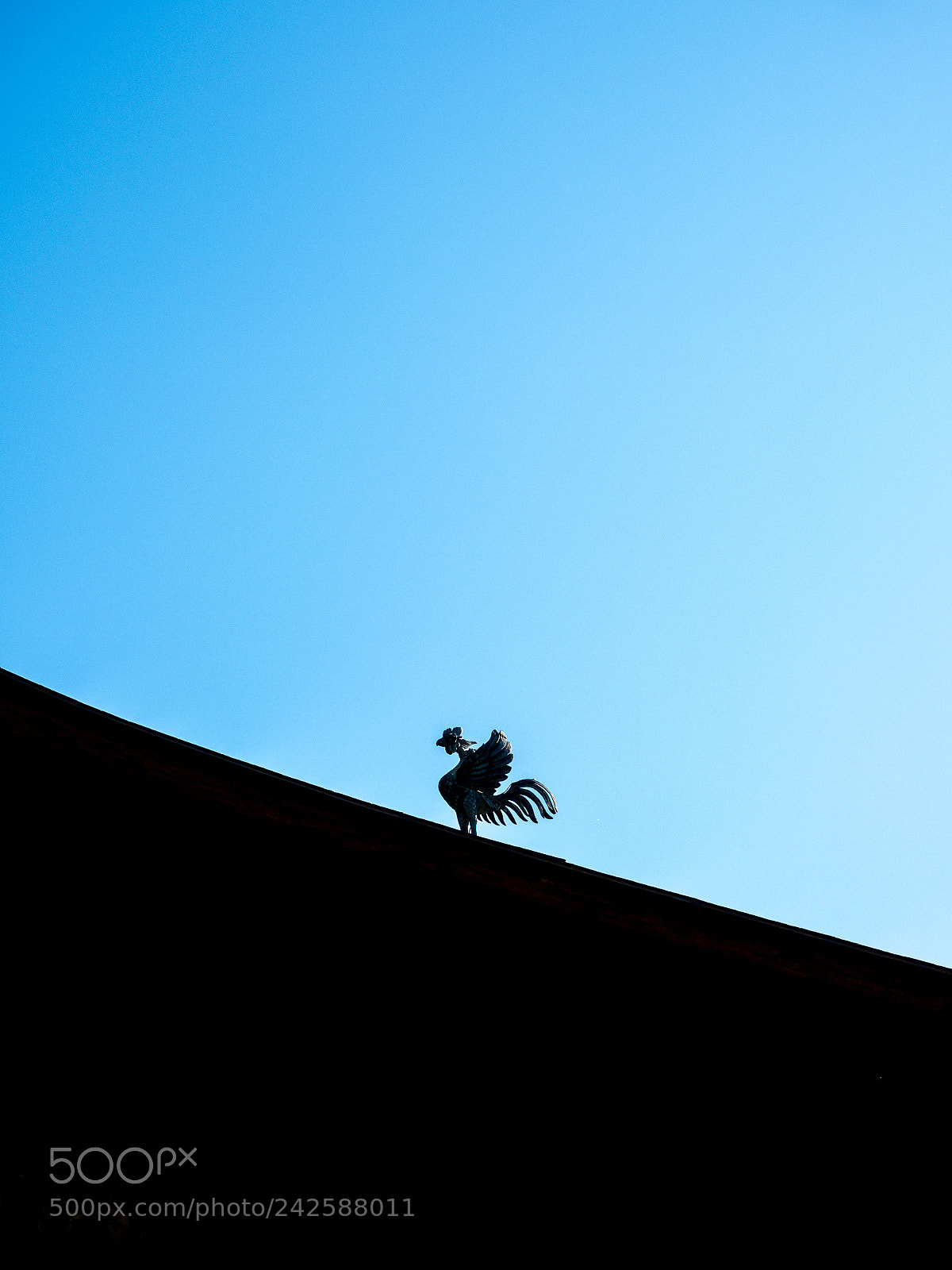 Olympus OM-D E-M1 Mark II sample photo. Roof of a temple photography