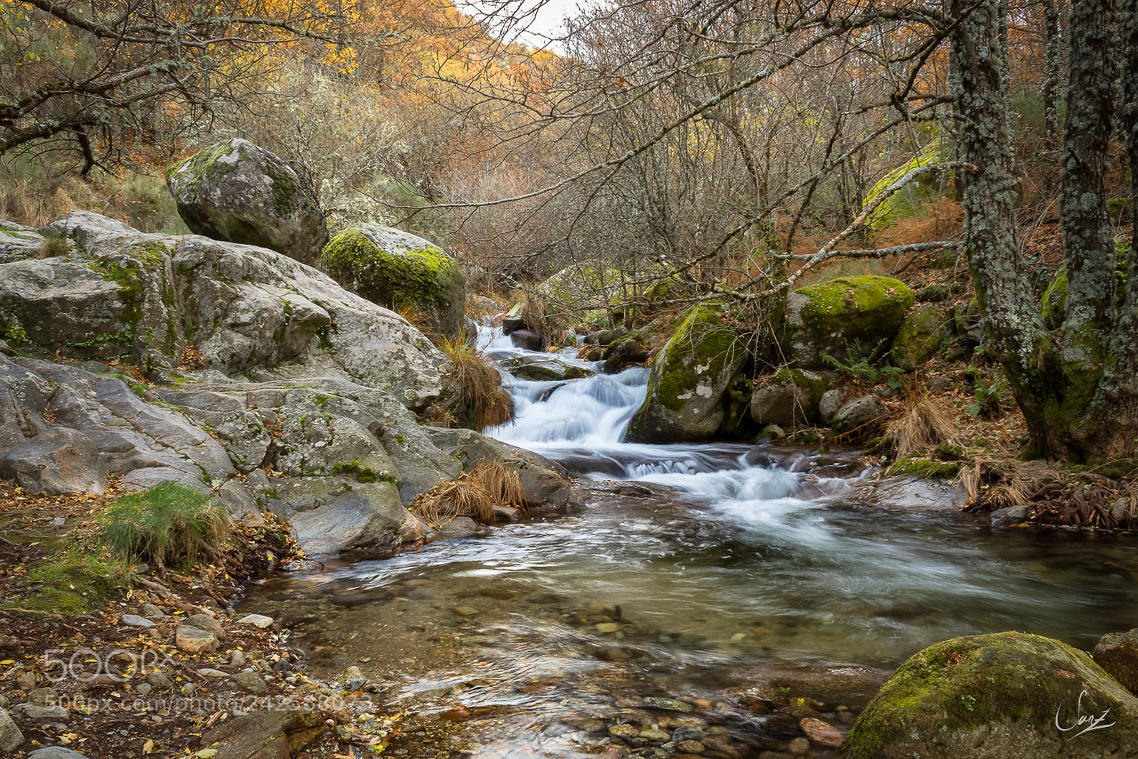 Canon EOS 1300D (EOS Rebel T6 / EOS Kiss X80) sample photo. Autumn river photography
