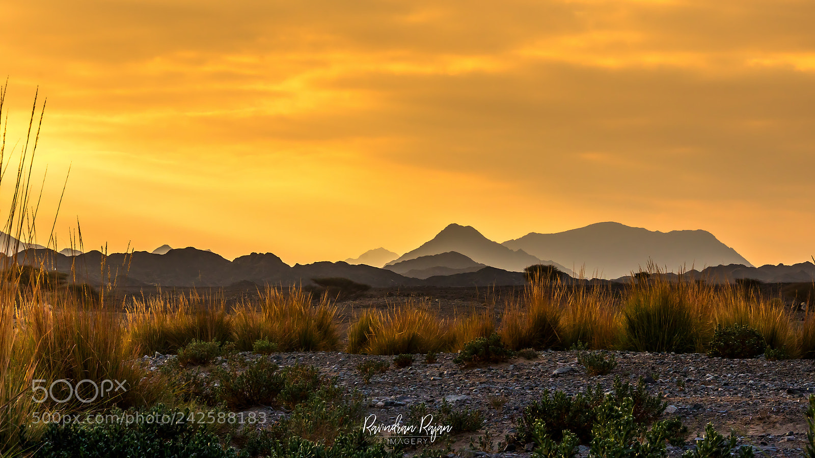 Canon EOS 7D Mark II sample photo. The dawn photography