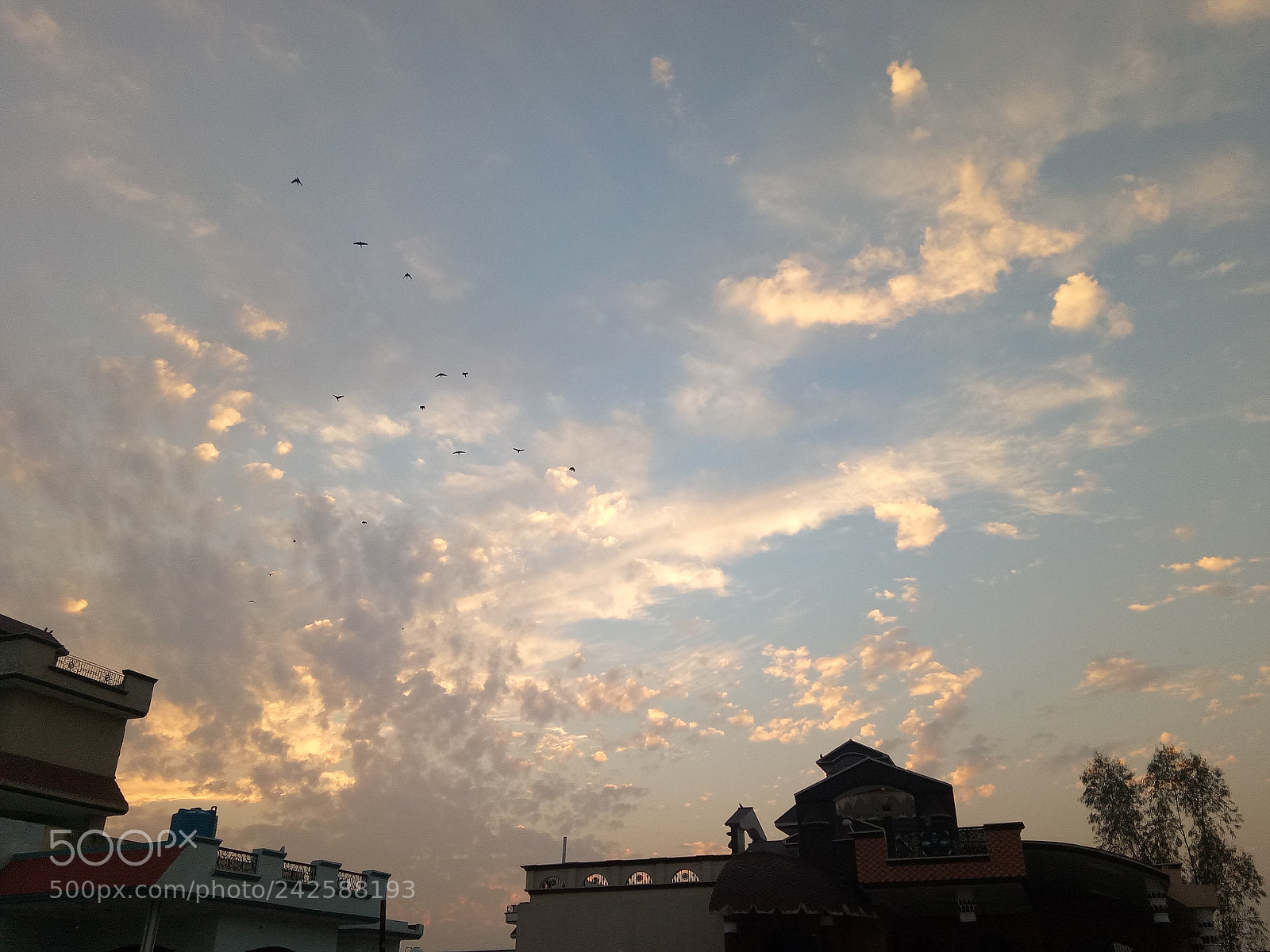 OPPO A1601 sample photo. Untitled photography