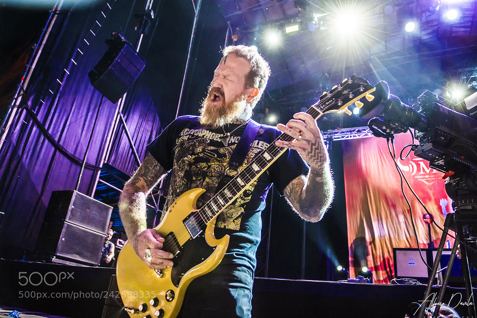 Nikon D7100 sample photo. Mastodon photography