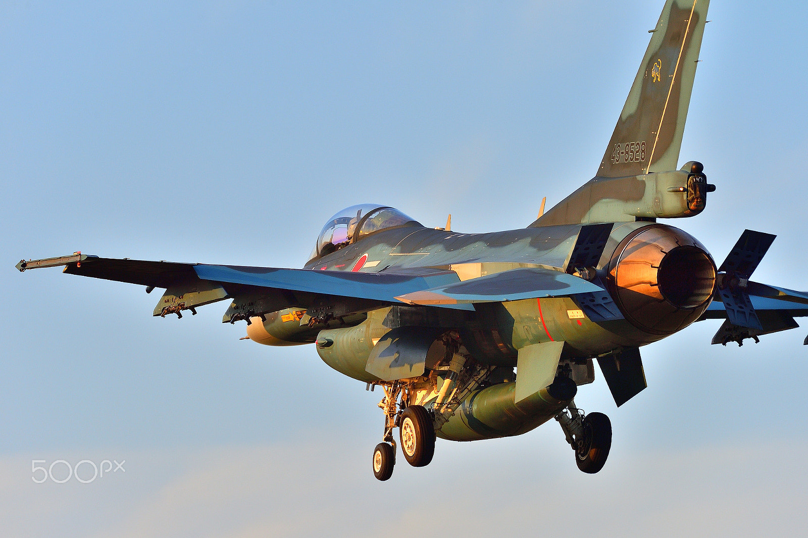 Nikon AF-S Nikkor 200-500mm F5.6E ED VR sample photo. F-2 landing photography