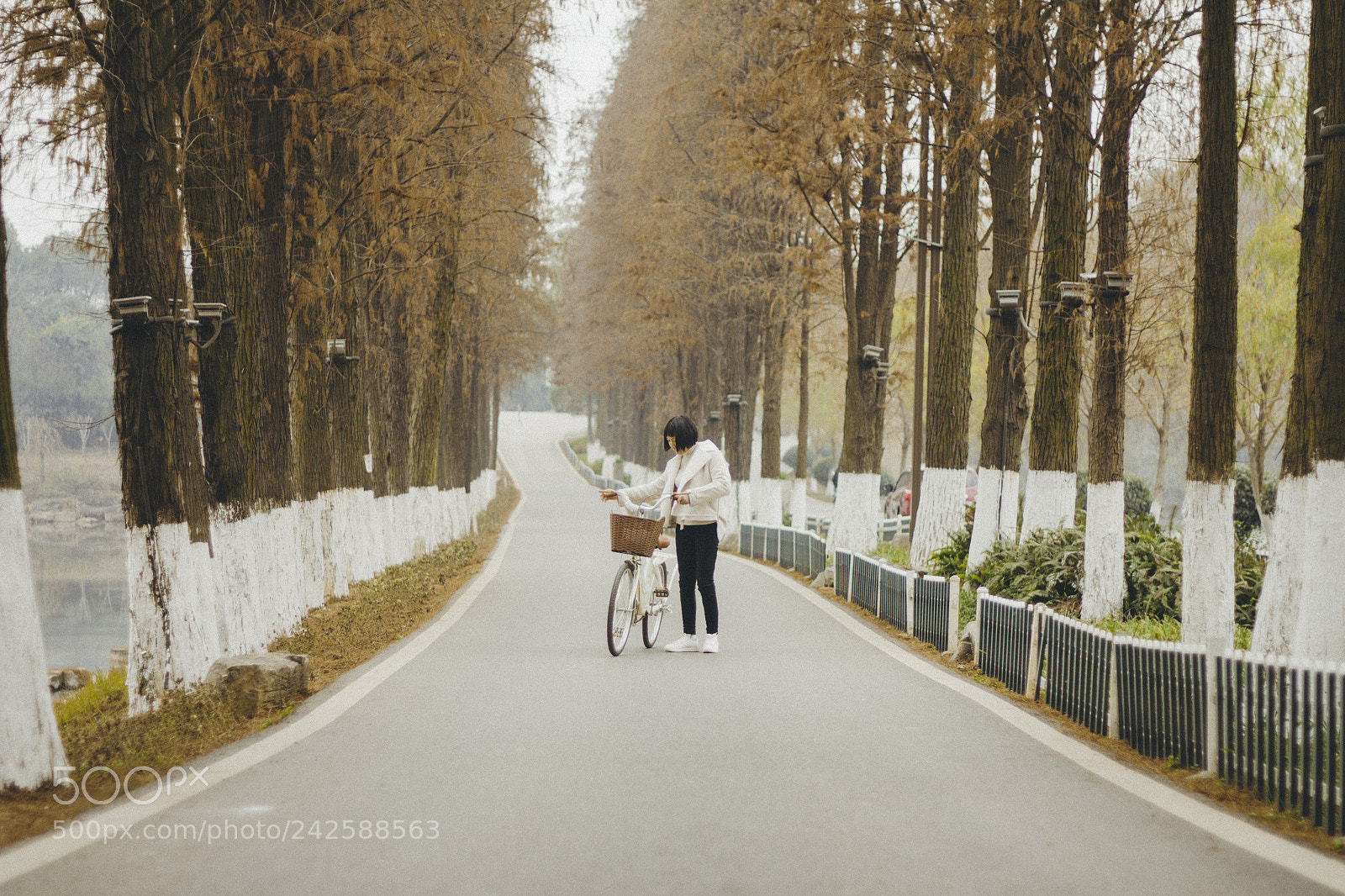 Canon EOS 60D sample photo. Street photo encounter a photography