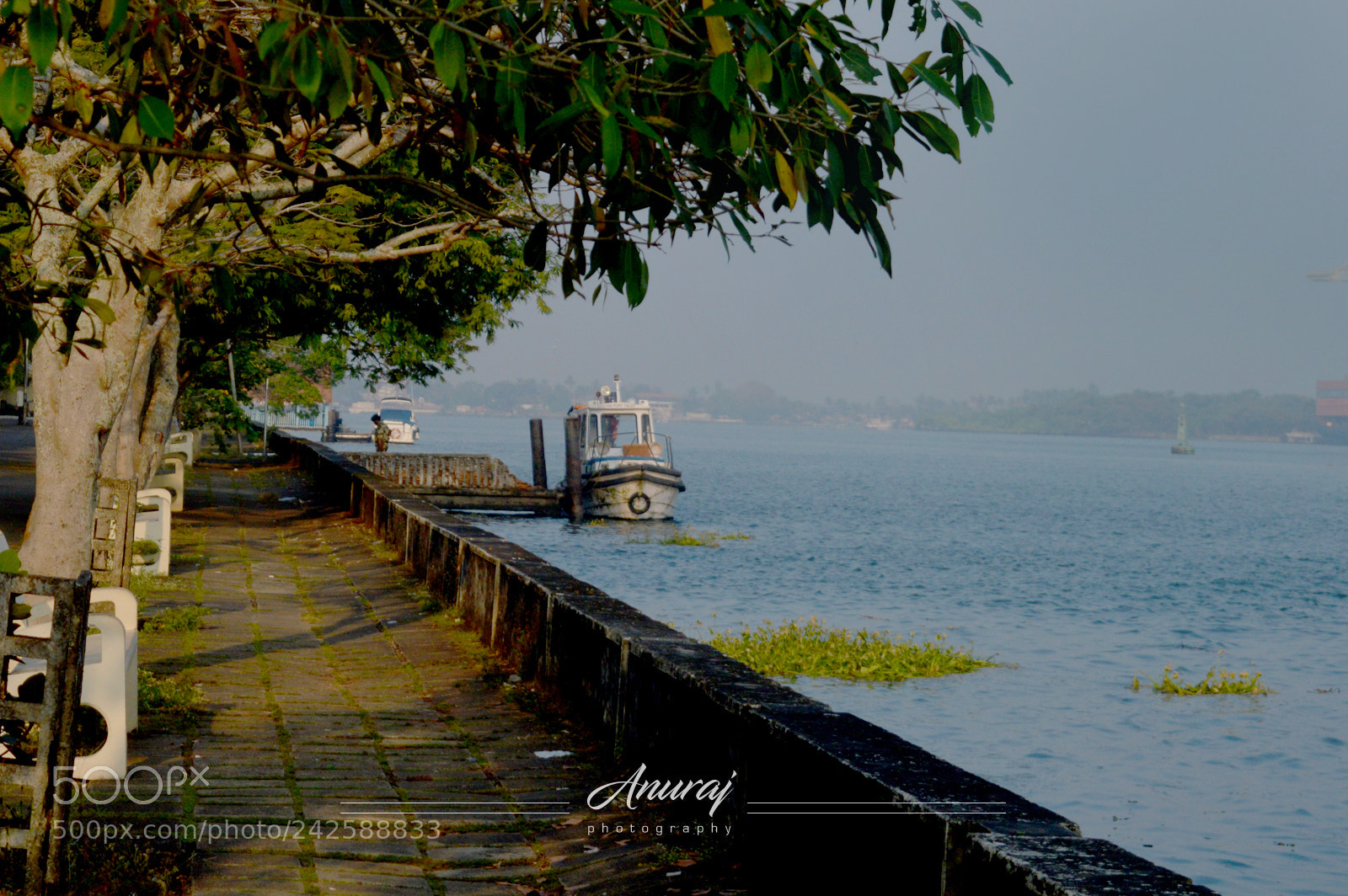 Nikon D3200 sample photo. Queen of arabian sea photography