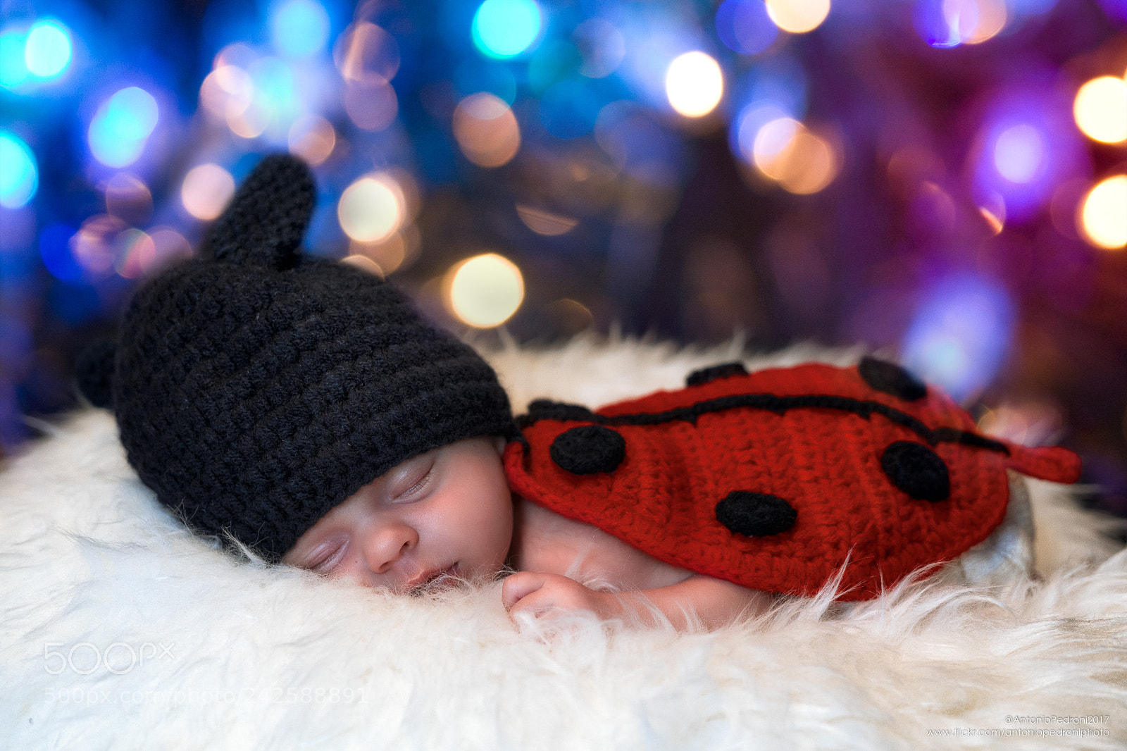 Sony a7 II sample photo. My little ladybug photography