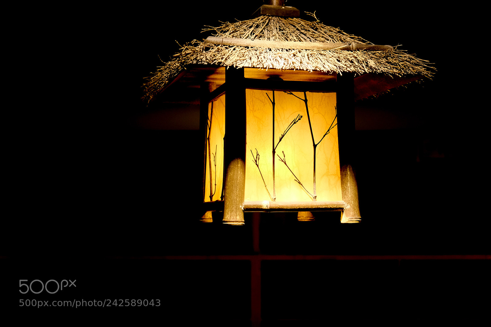 Fujifilm X-T2 sample photo. Untitled photography