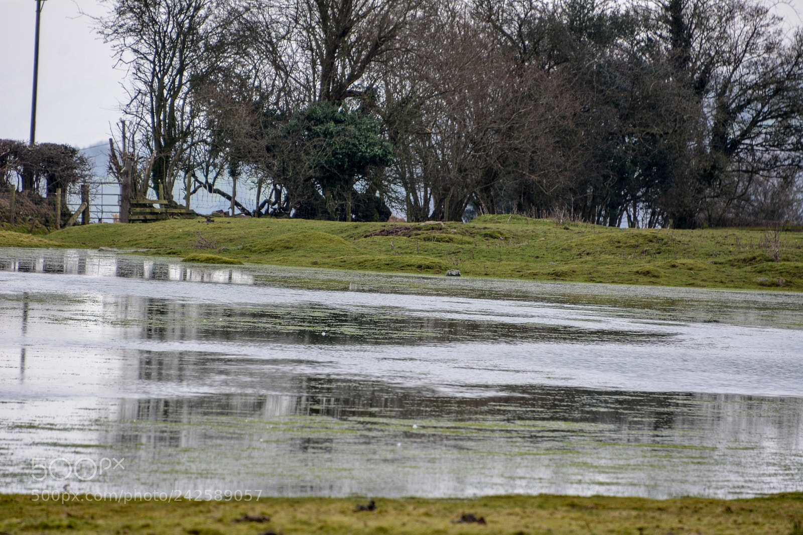 Nikon D7100 sample photo. Brechfa pool photography
