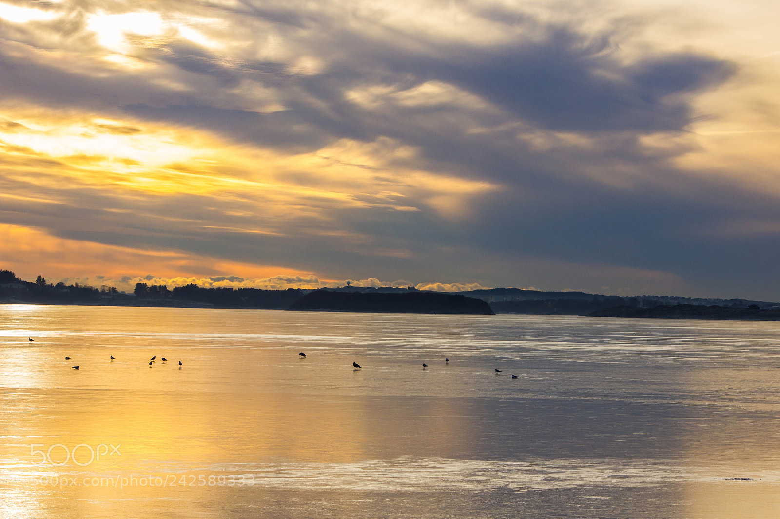 Canon EOS 550D (EOS Rebel T2i / EOS Kiss X4) sample photo. Frozen sea photography