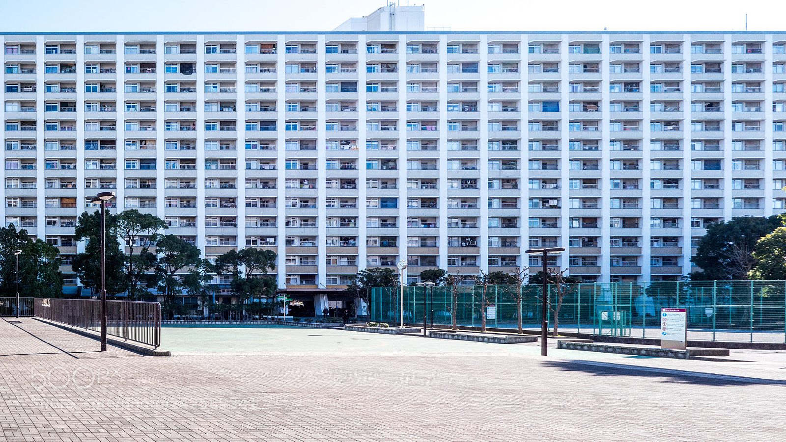 Panasonic Lumix DMC-GX8 sample photo. Ojima photography