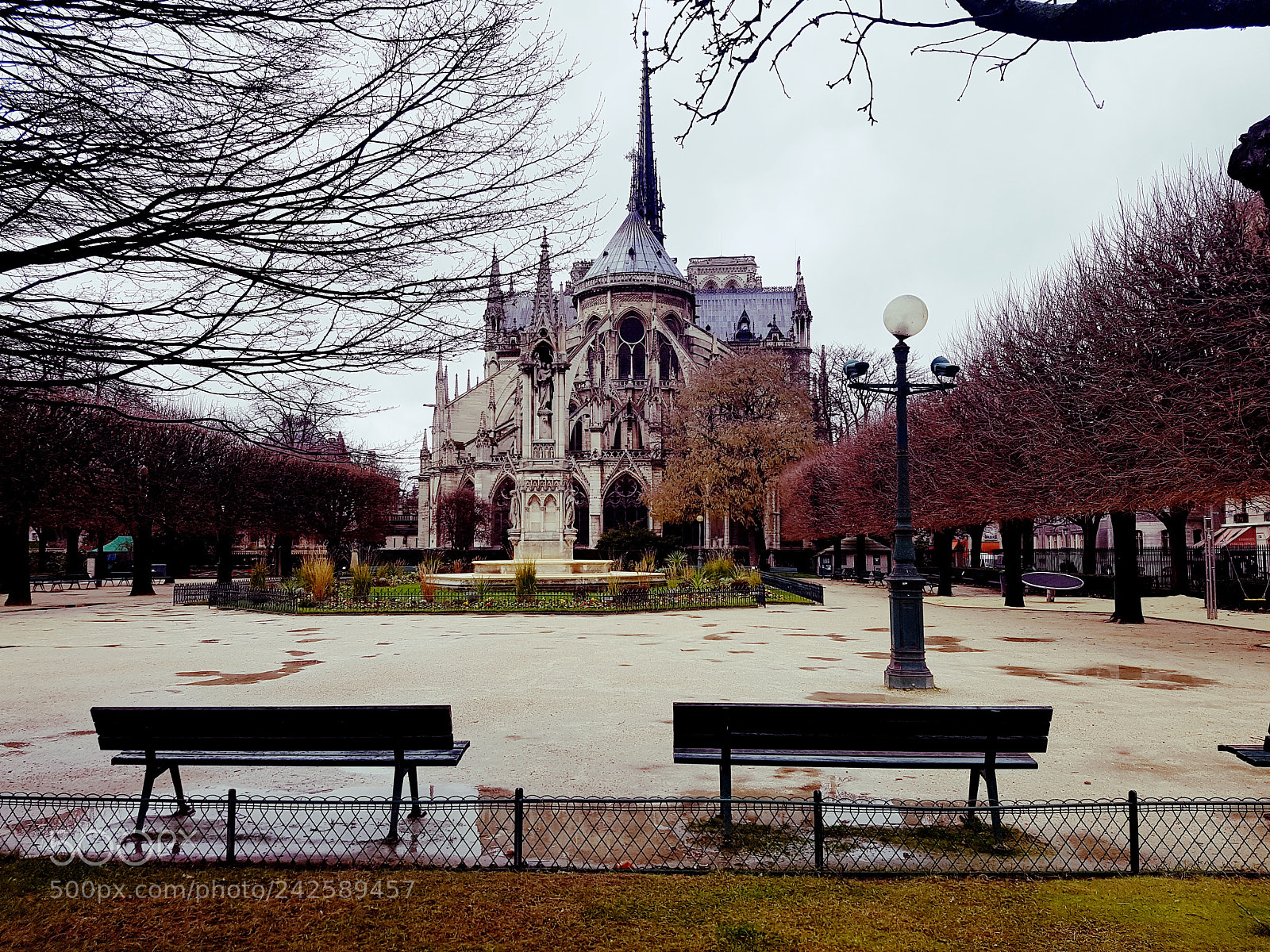 Samsung Galaxy S7 Edge sample photo. Notre dame cathedral photography