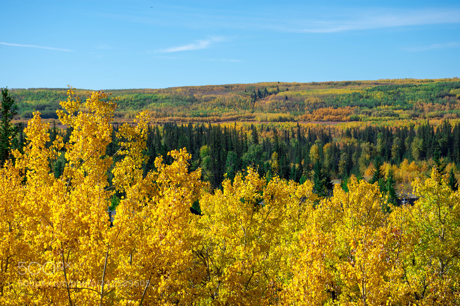 Nikon D7200 sample photo. Rolling hills in autumn photography