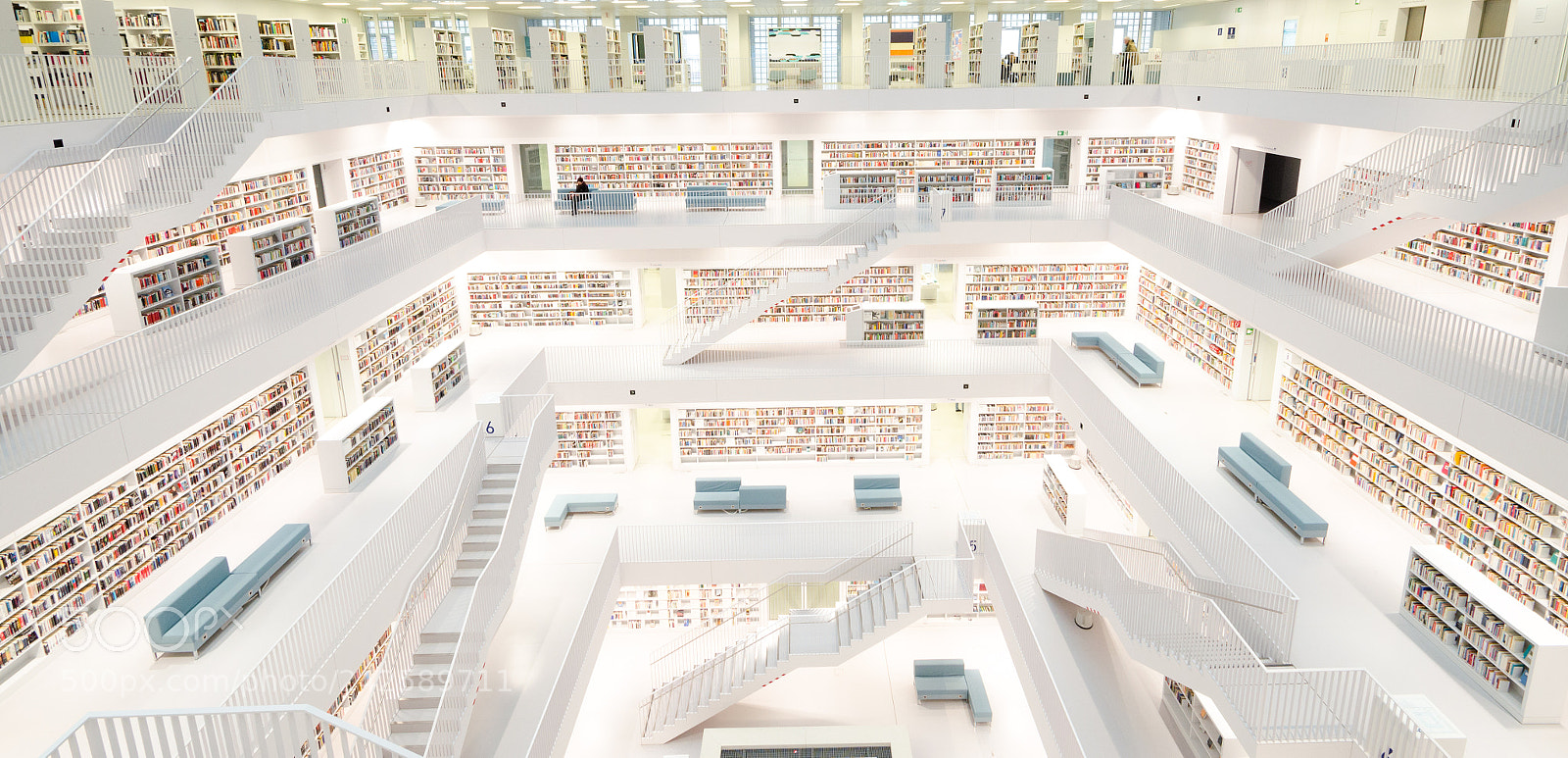 Nikon D5100 sample photo. The white library photography