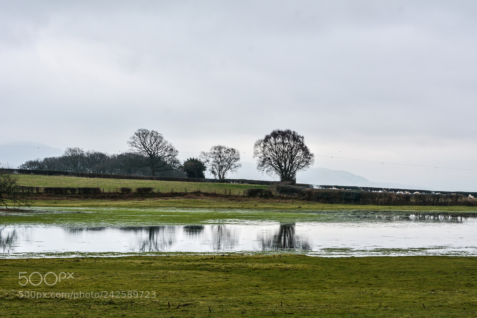Nikon D7100 sample photo. Brechfa pool photography
