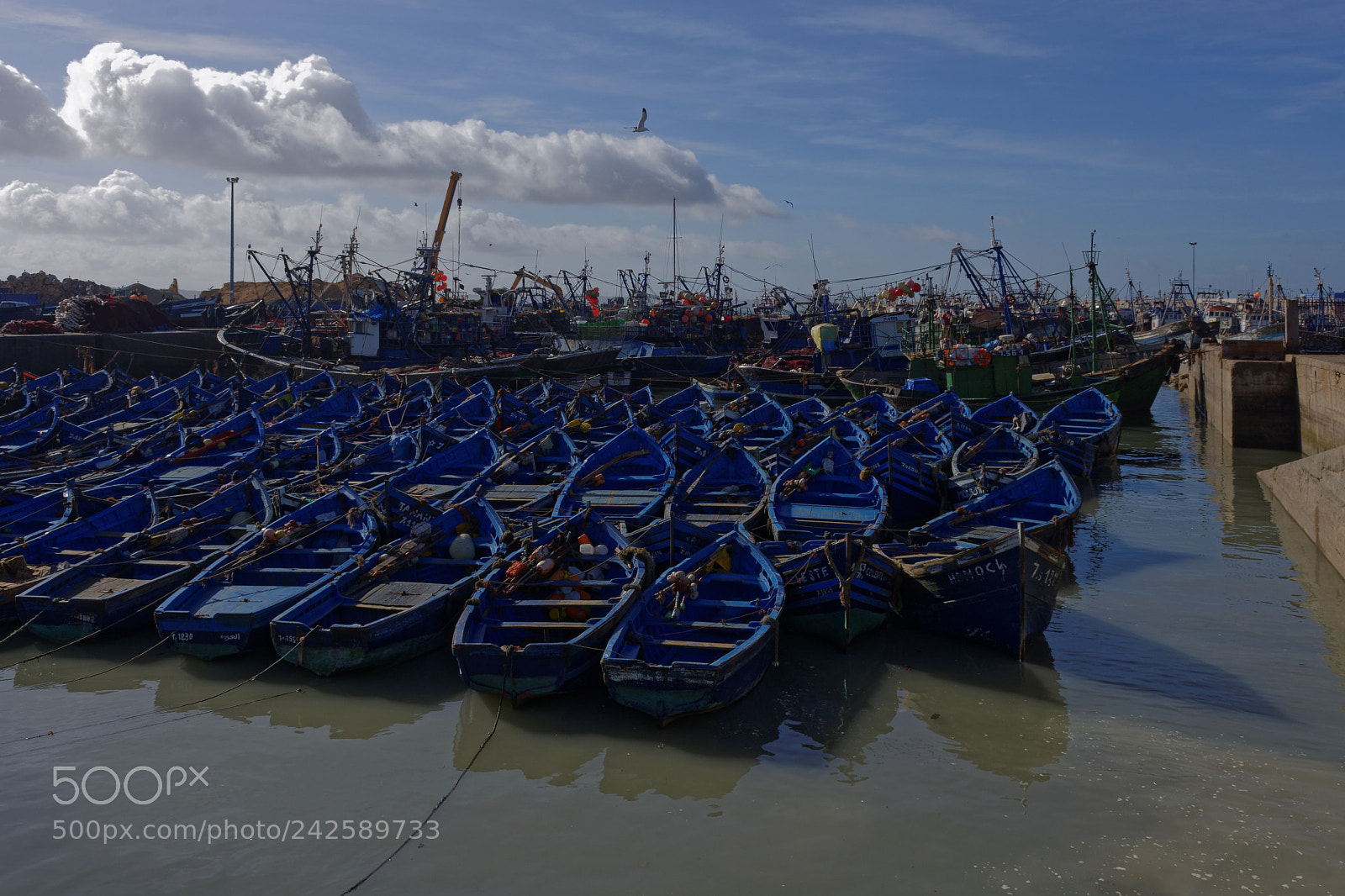 Nikon D7200 sample photo. C te atlantique essaouira photography