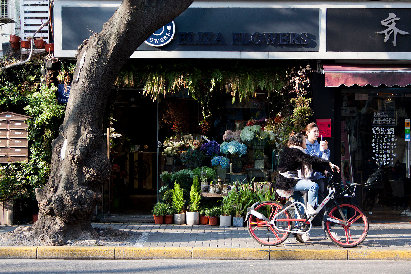 Canon EOS 50D sample photo. Flower shop photography