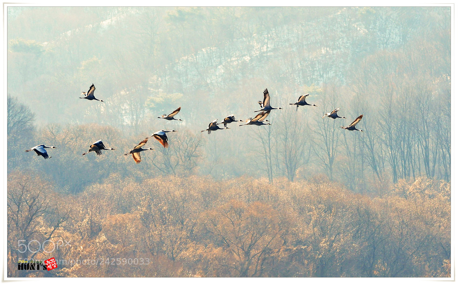 Nikon D500 sample photo. Korea winter photography