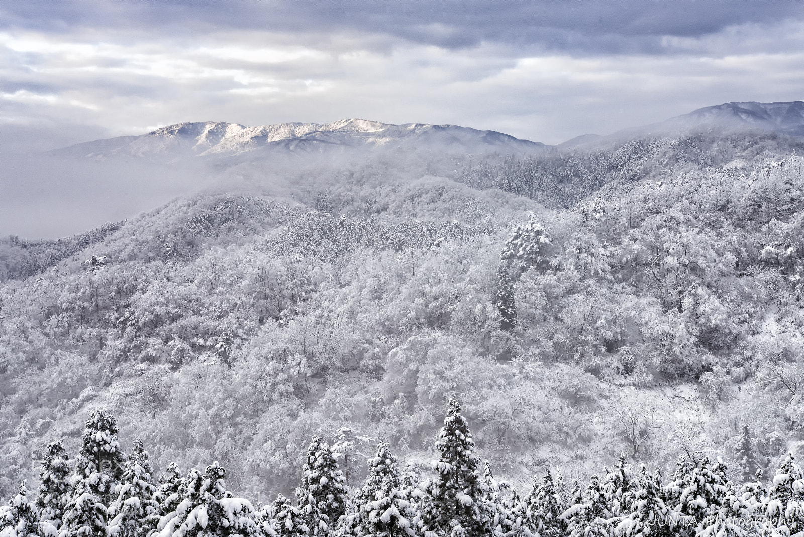 Nikon D810 sample photo. White scape photography