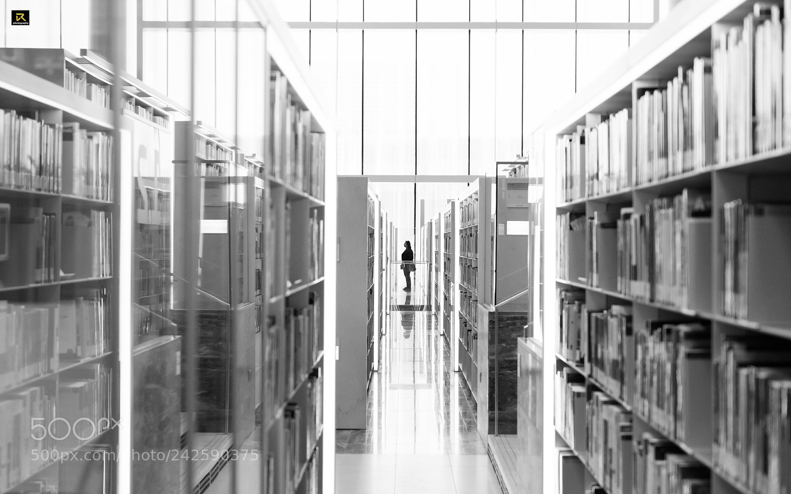 Nikon D800 sample photo. Lady in the library photography