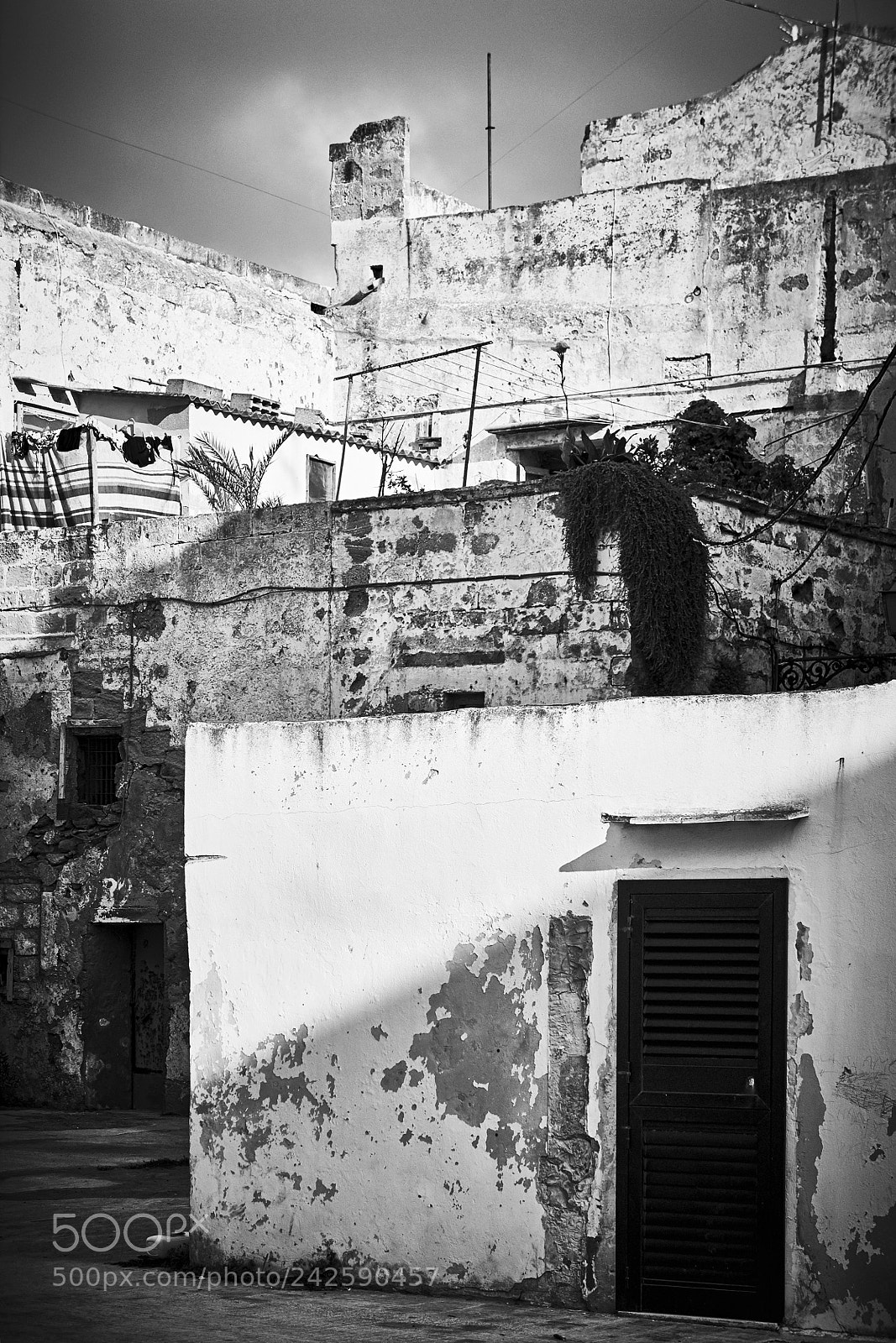 Sony Alpha NEX-3 sample photo. Salento. photography
