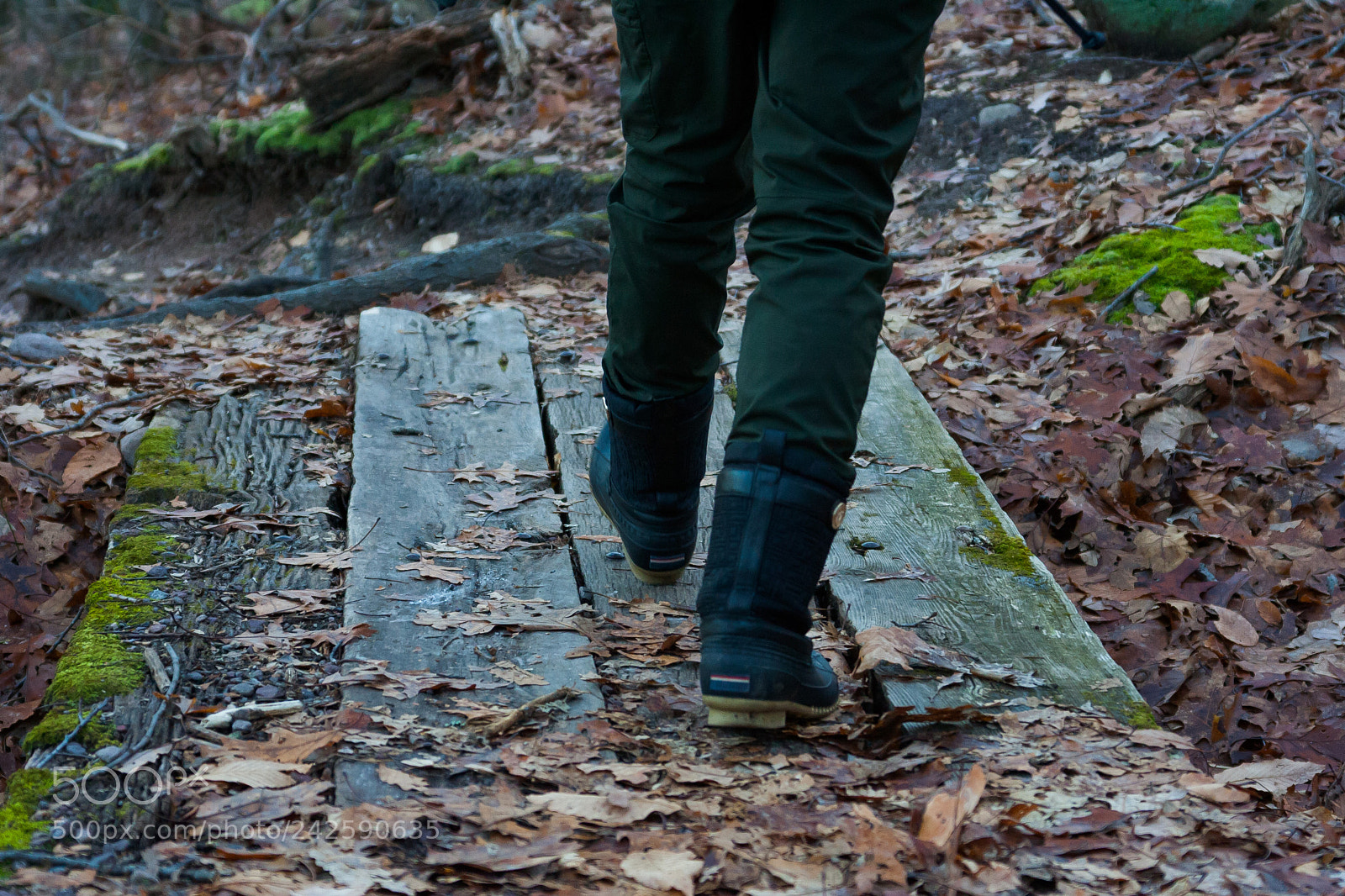 Canon EOS 350D (EOS Digital Rebel XT / EOS Kiss Digital N) sample photo. The path's footsteps photography