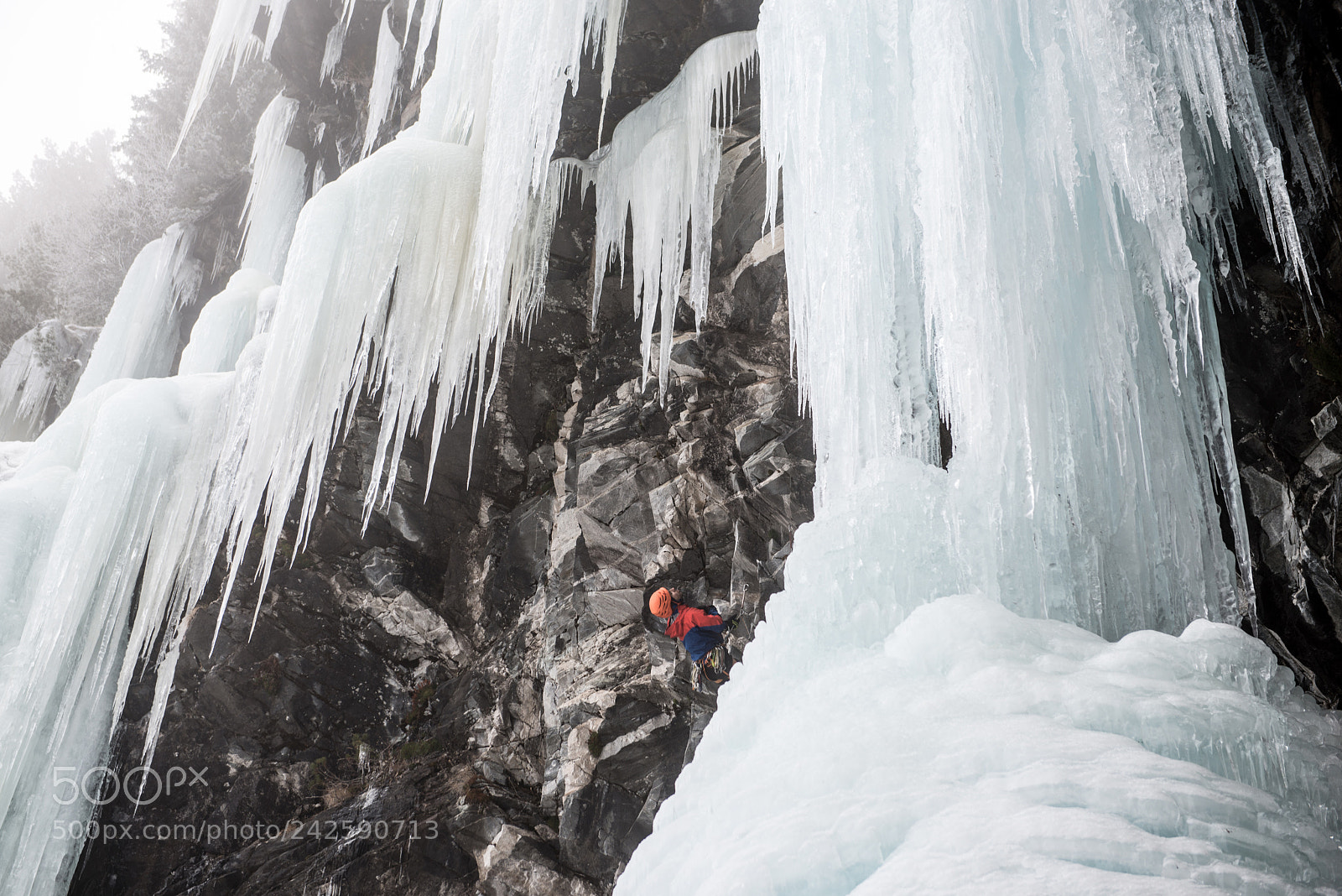 Nikon D800 sample photo. Look up photography