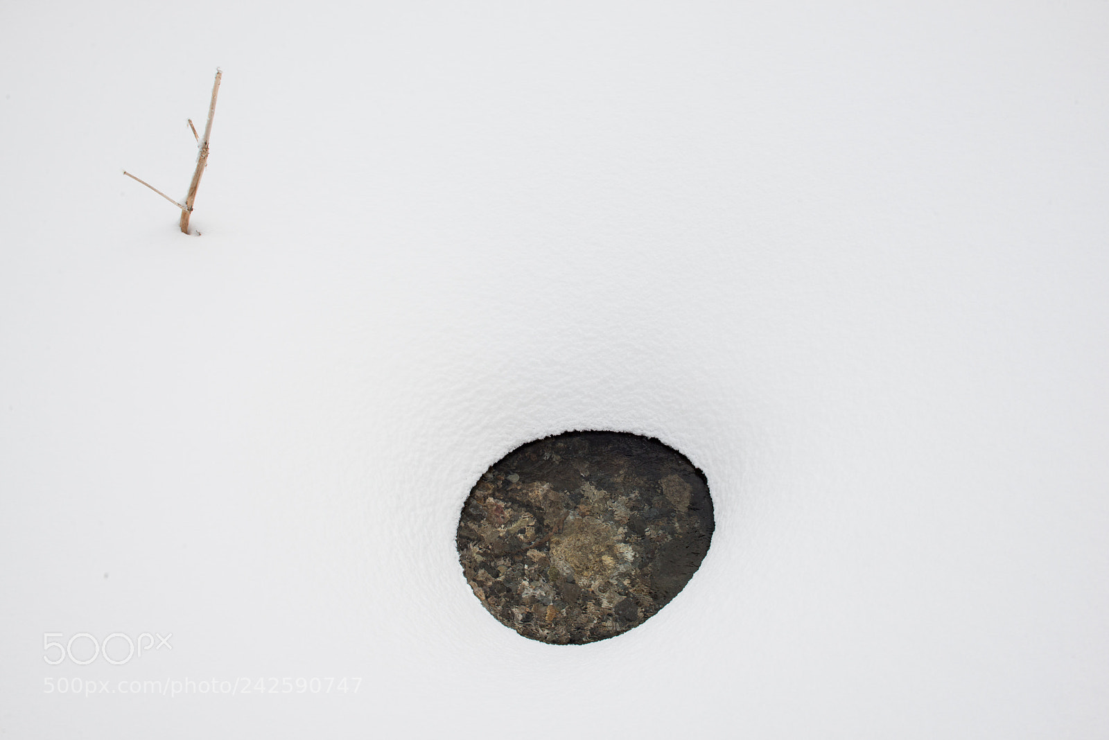 Nikon D800 sample photo. Pond photography