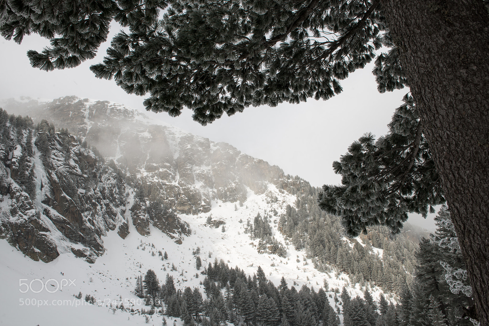Nikon D800 sample photo. Rila massif photography