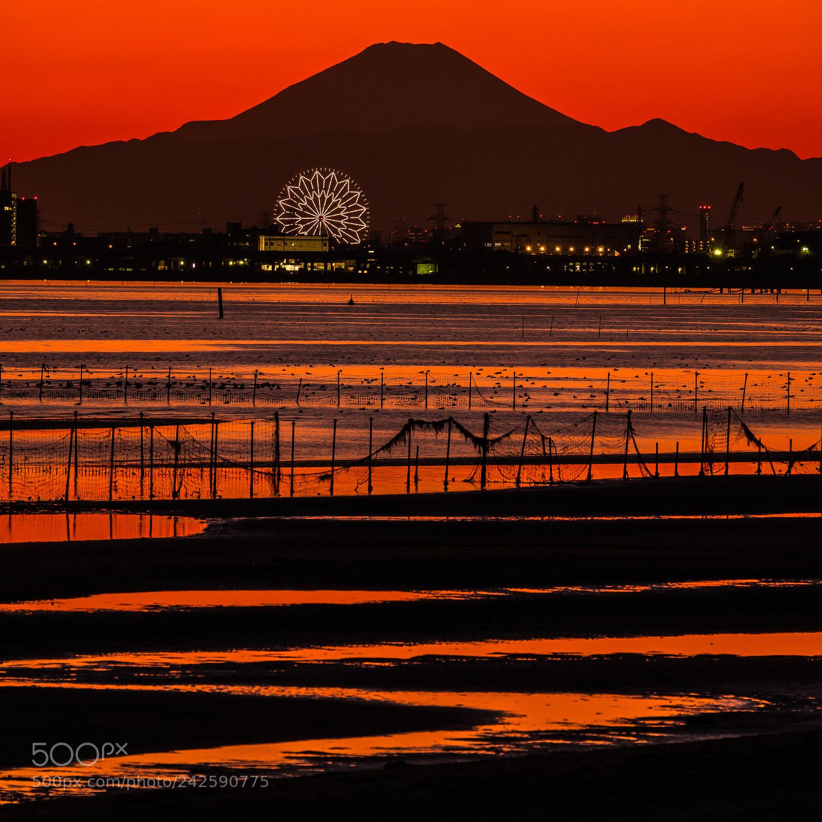Sony Cyber-shot DSC-RX10 III sample photo. Mt.fuji & tokyo bay photography