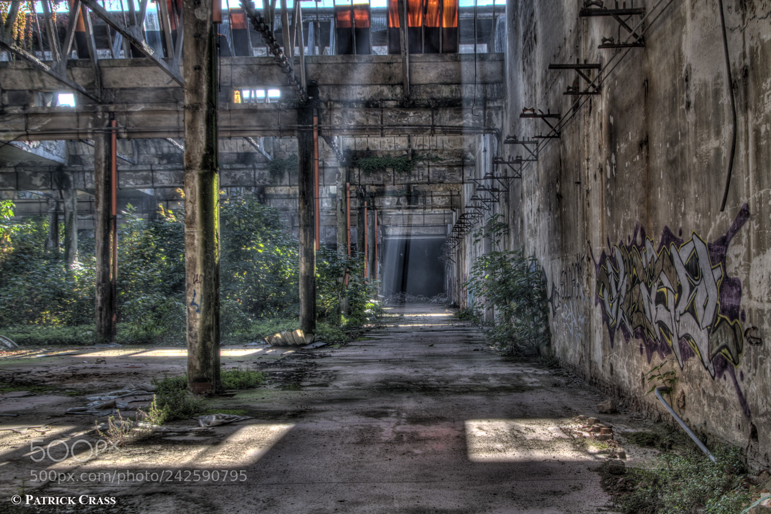 Nikon D90 sample photo. Abandoned factory photography