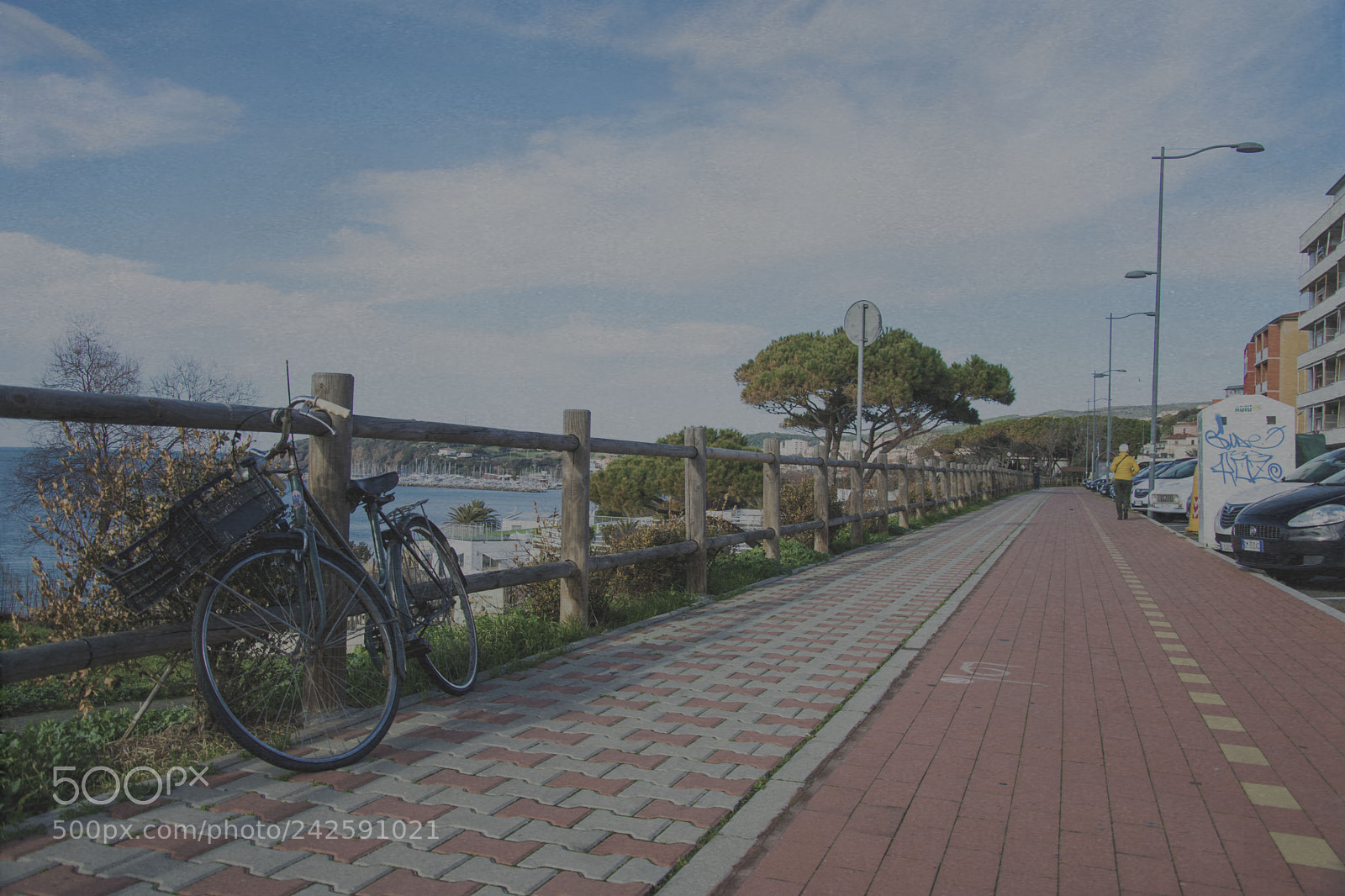 Nikon D3400 sample photo. Via amendola gennaio photography