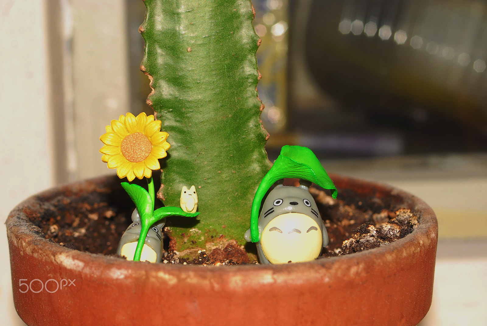 AF Zoom-Nikkor 35-70mm f/3.3-4.5 N sample photo. Totoro photography