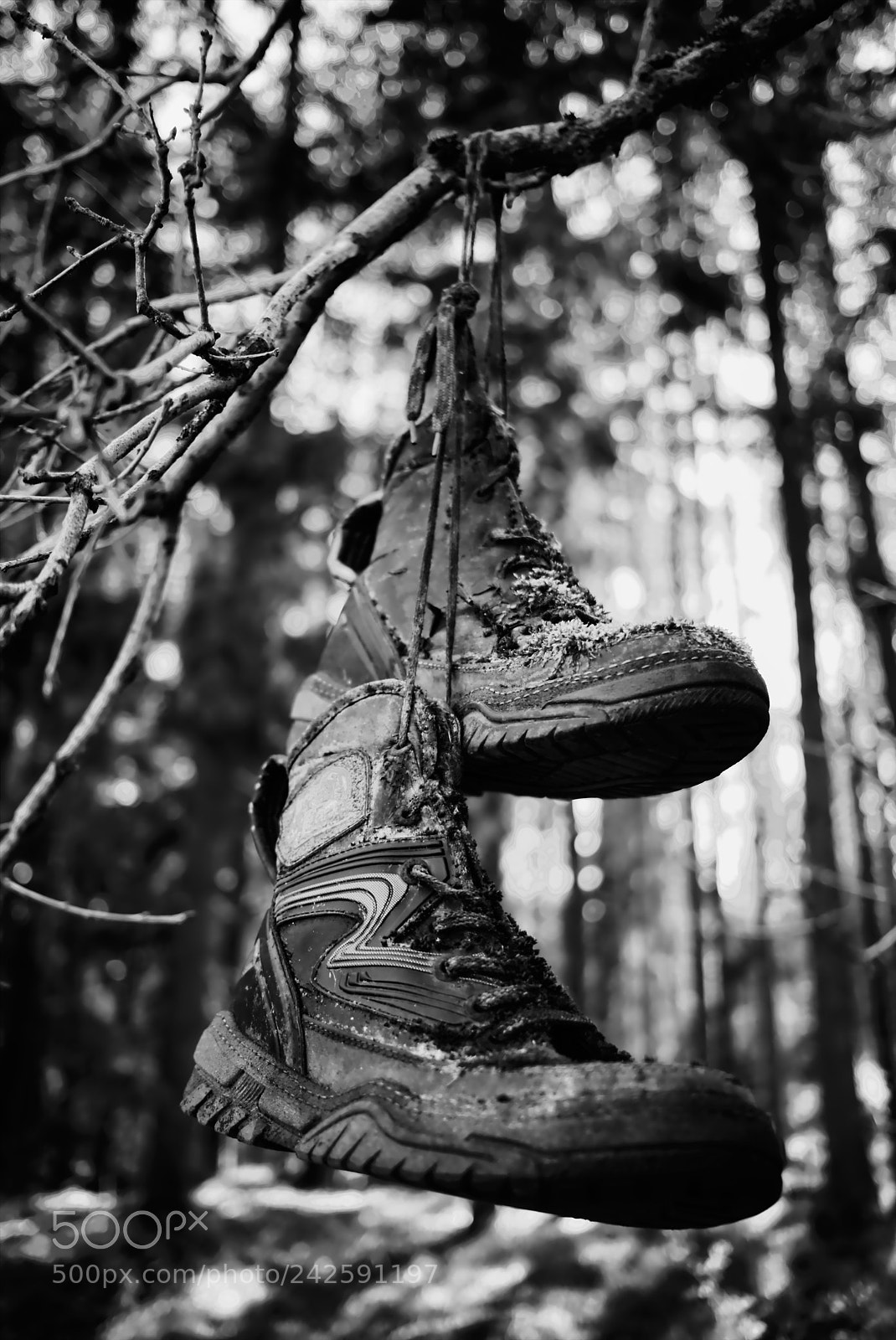 Fujifilm X-T2 sample photo. Lostboots photography