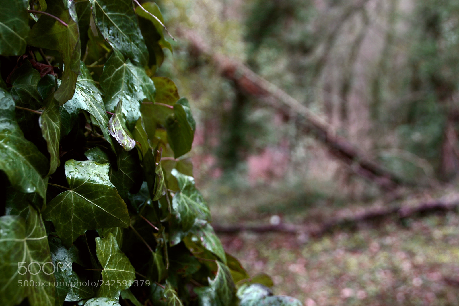 Canon EOS 20D sample photo. ? photography