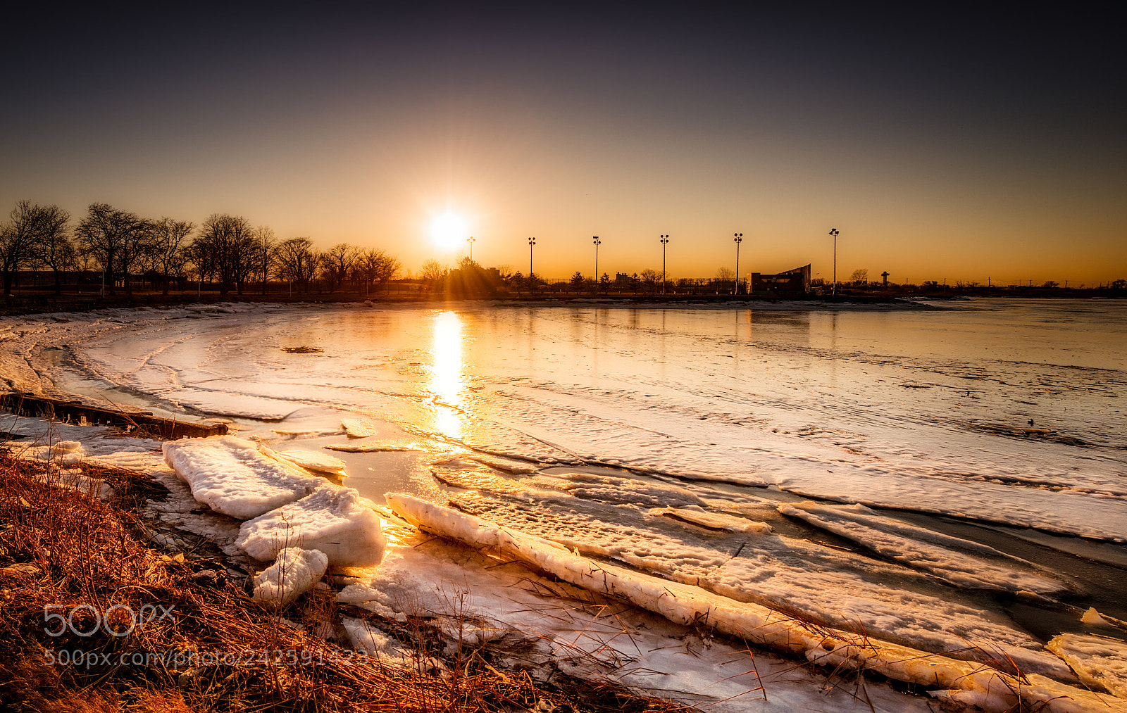 Nikon D850 sample photo. Frozen photography