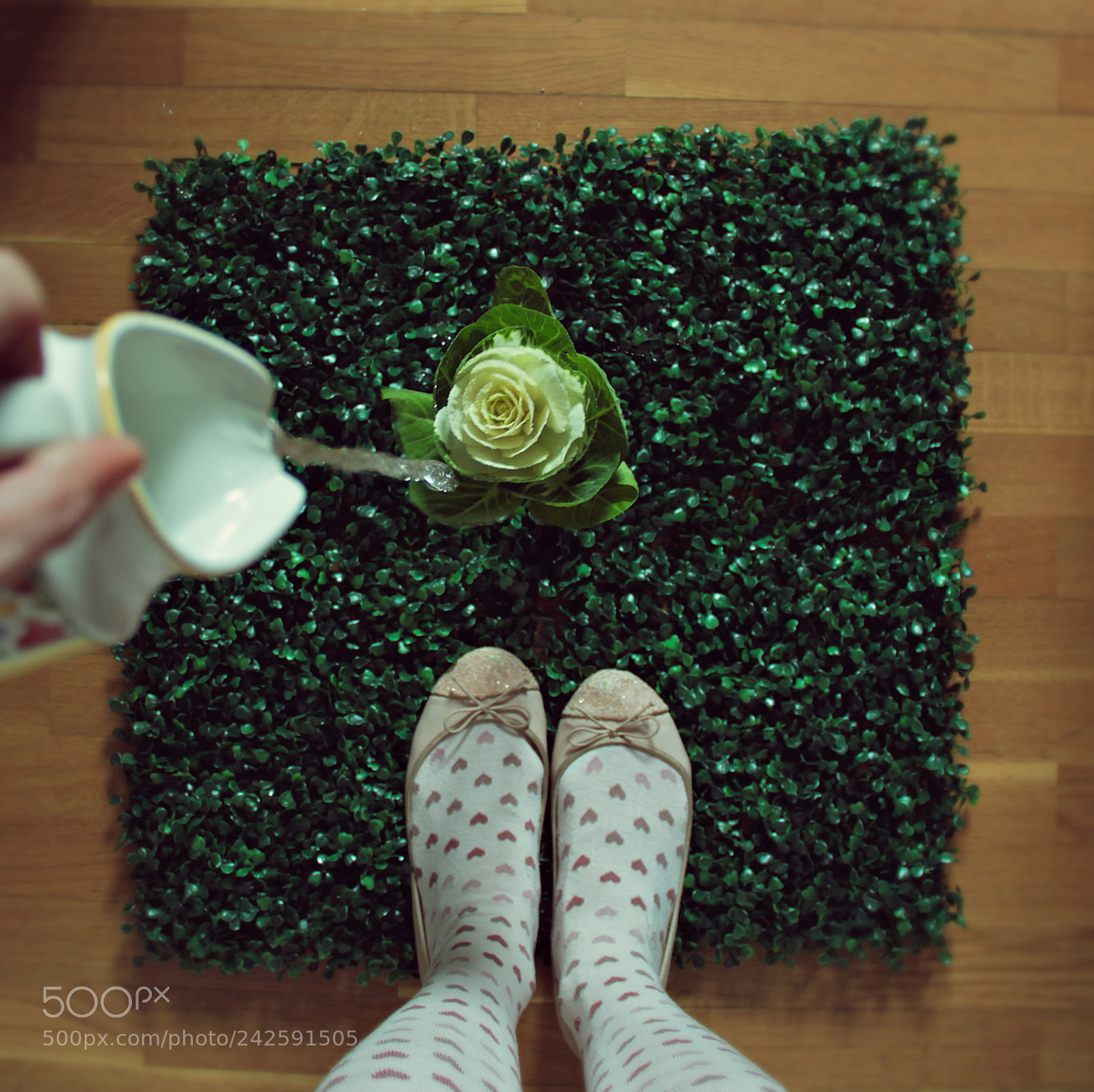 Canon EOS 60D sample photo. A little green photography